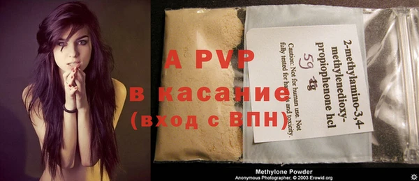 шишки Каменногорск