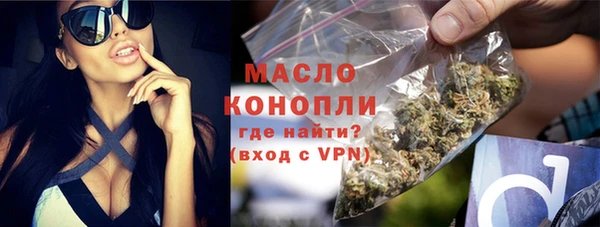 шишки Каменногорск