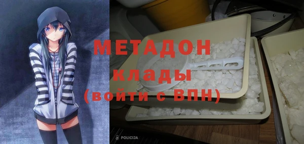 шишки Каменногорск