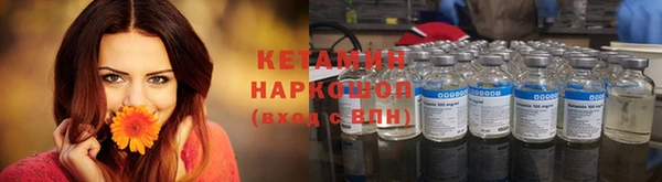 шишки Каменногорск