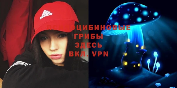 мяу мяу кристалл Инта