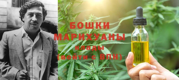 шишки Каменногорск