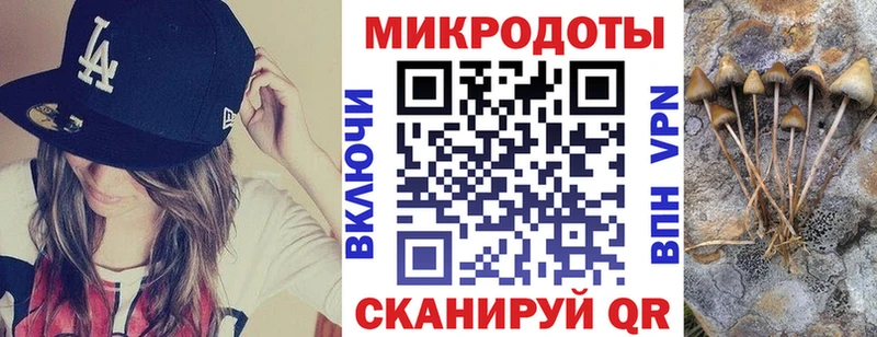 blacksprut ТОР  купить   Канаш  Галлюциногенные грибы мухоморы 