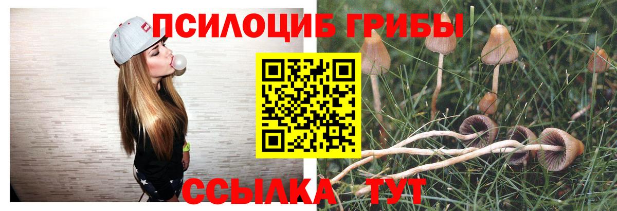 магазин    Псилоцибиновые грибы MAGIC MUSHROOMS  Вход с VPN  Канаш  Галлюциногенные грибы прущие грибы 